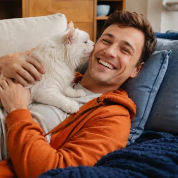 Cat Body Language Cheat Sheet: Signals, Tails & Meows